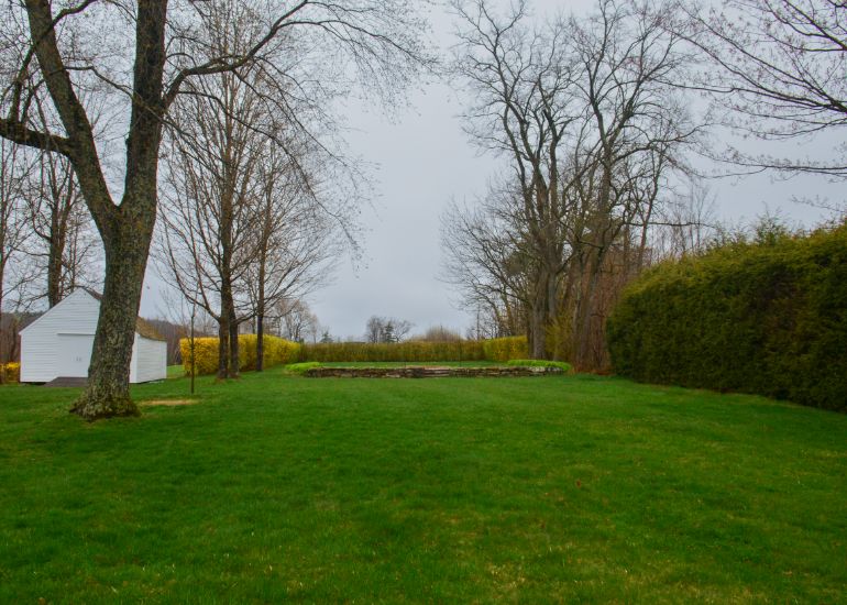 A grassy area with trees and bushes in the background.