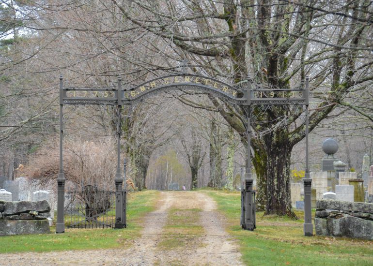 A dirt road with trees and a gate